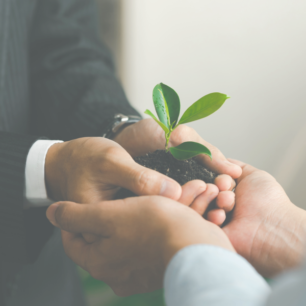 Sustainability / ESG